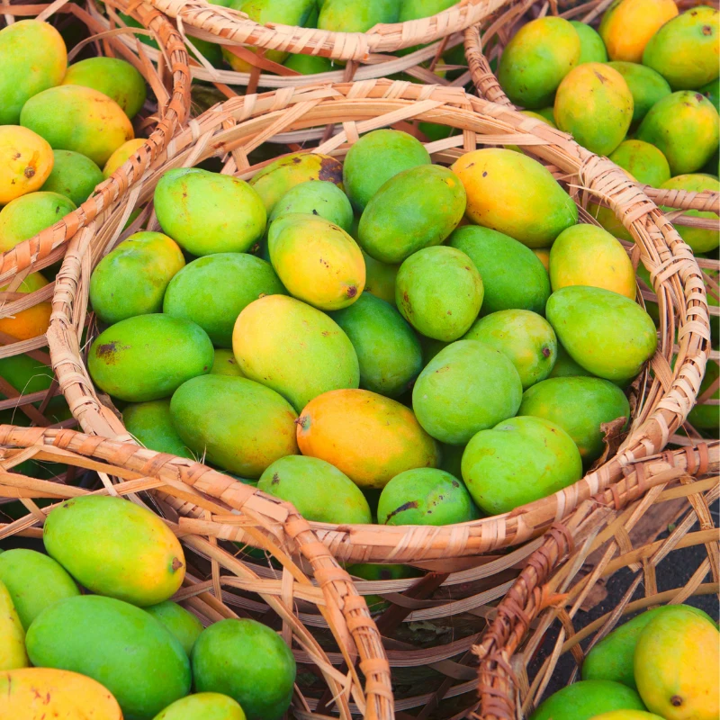 Rupali mango from  Rajshahi