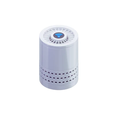 Sony SRS-ULT70 ULT Field 7 Wireless Speaker