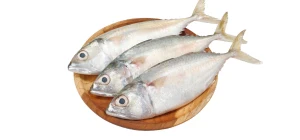 Fresh Fish