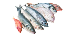 Sea Fish
