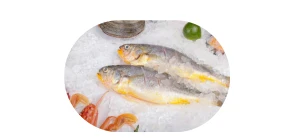 Frozen Fish