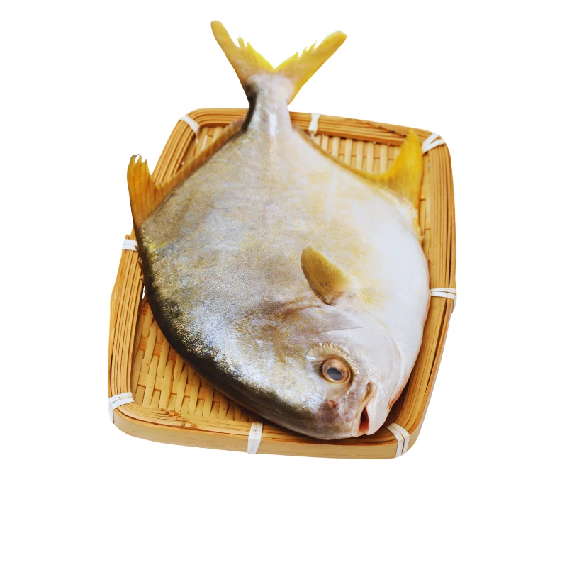 Fresh Pomfret Fish